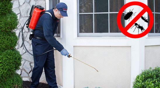 Ulus Gümüşkurt İlaçlama böcek ilaçlama ve haşere kontrolü — ilaclama-tr.com